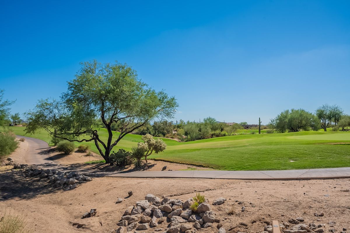 Legend Trail fairway with a paloverde tree and desert landscaping in North Scottsdale