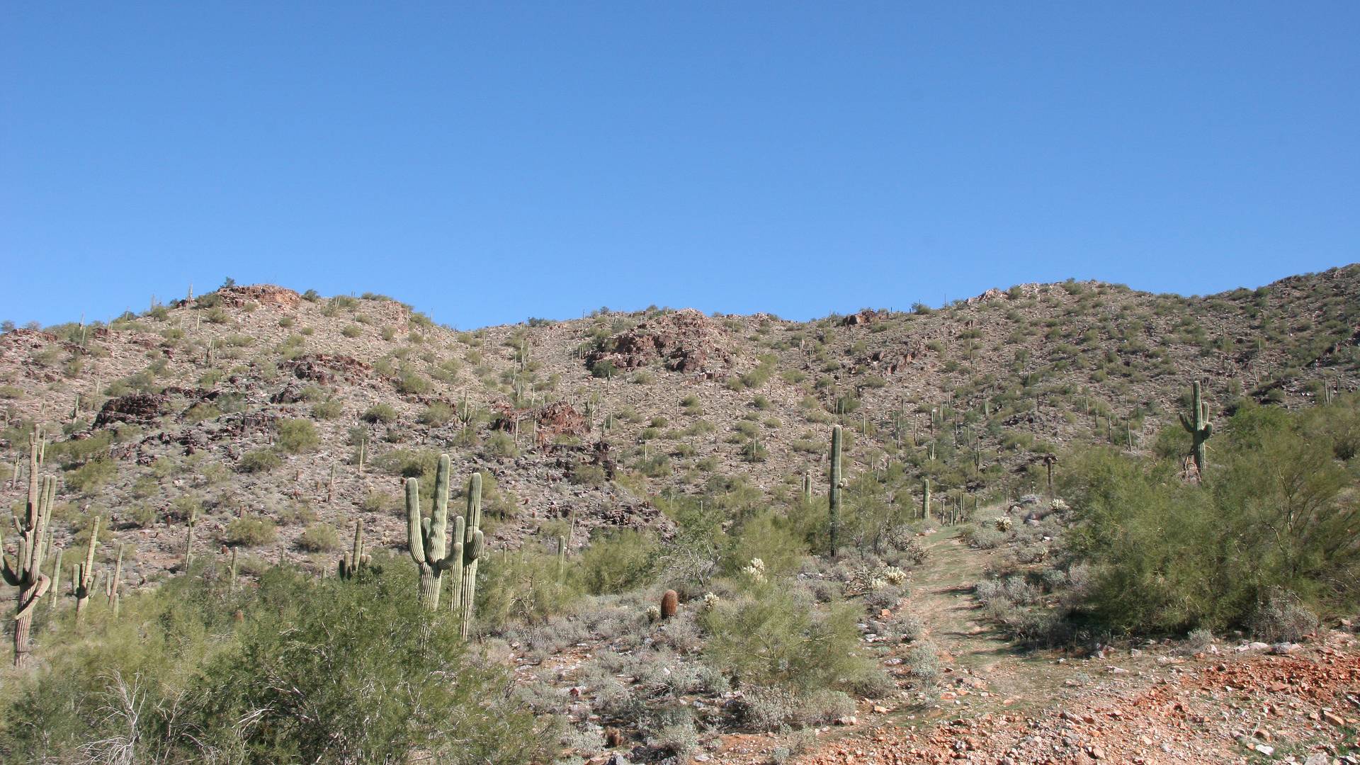 Desert boulders and hillside at Horseshoe Canyon in Silverleaf, Scottsdale