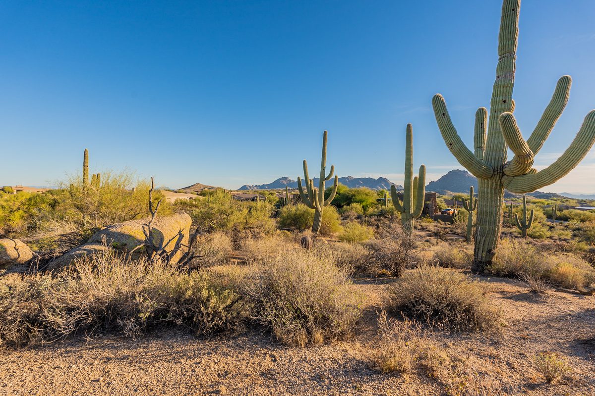 Large saguaro cactus beside granite boulders with desert mountains in the distance, desert scenery near Troon North in Scottsdale, Arizona