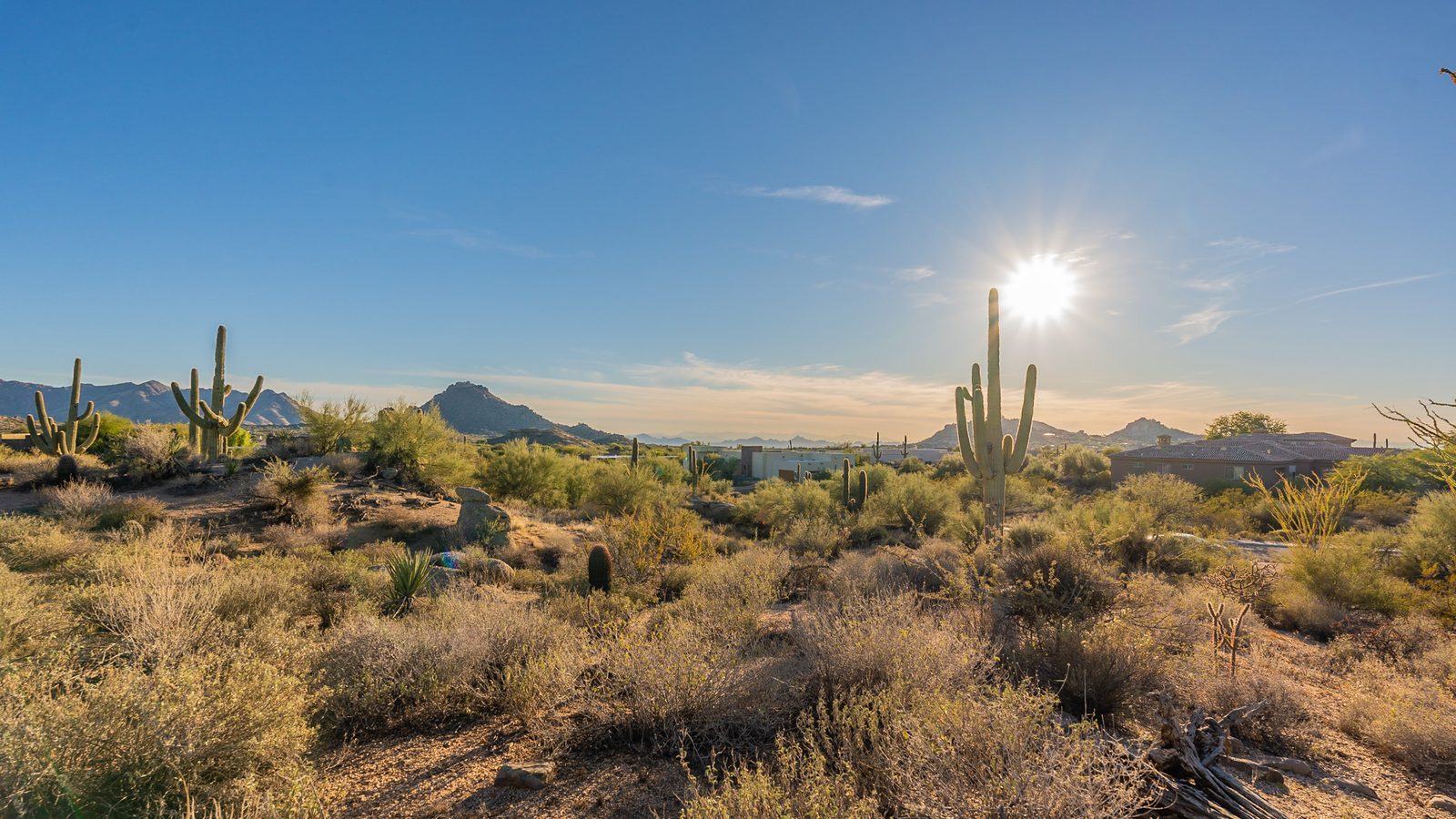 Sonoran Desert scenery near Troon North in Scottsdale with saguaro cactus, desert mountains and the sun low in a blue sky