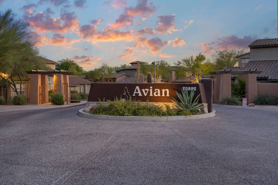 Avian community in Grayhawk Scottsdale