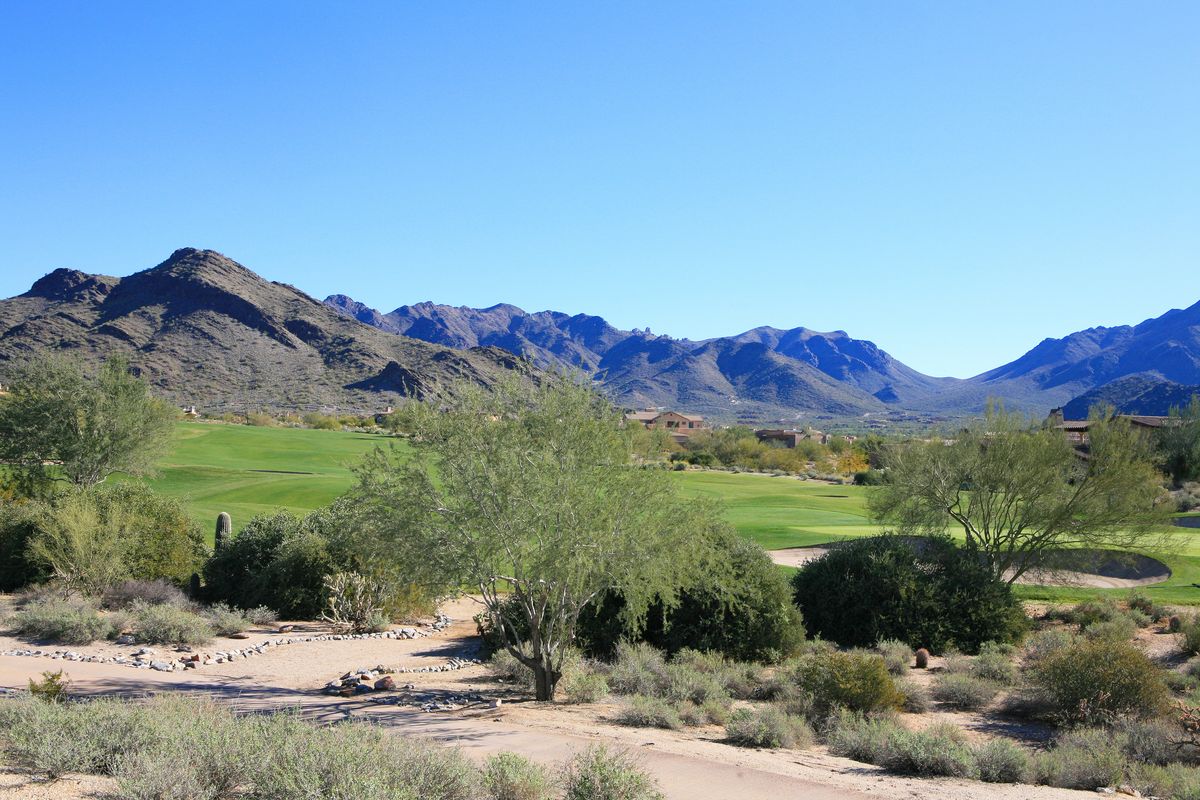 Desert landscape and McDowell Mountain view in DC Ranch, Scottsdale