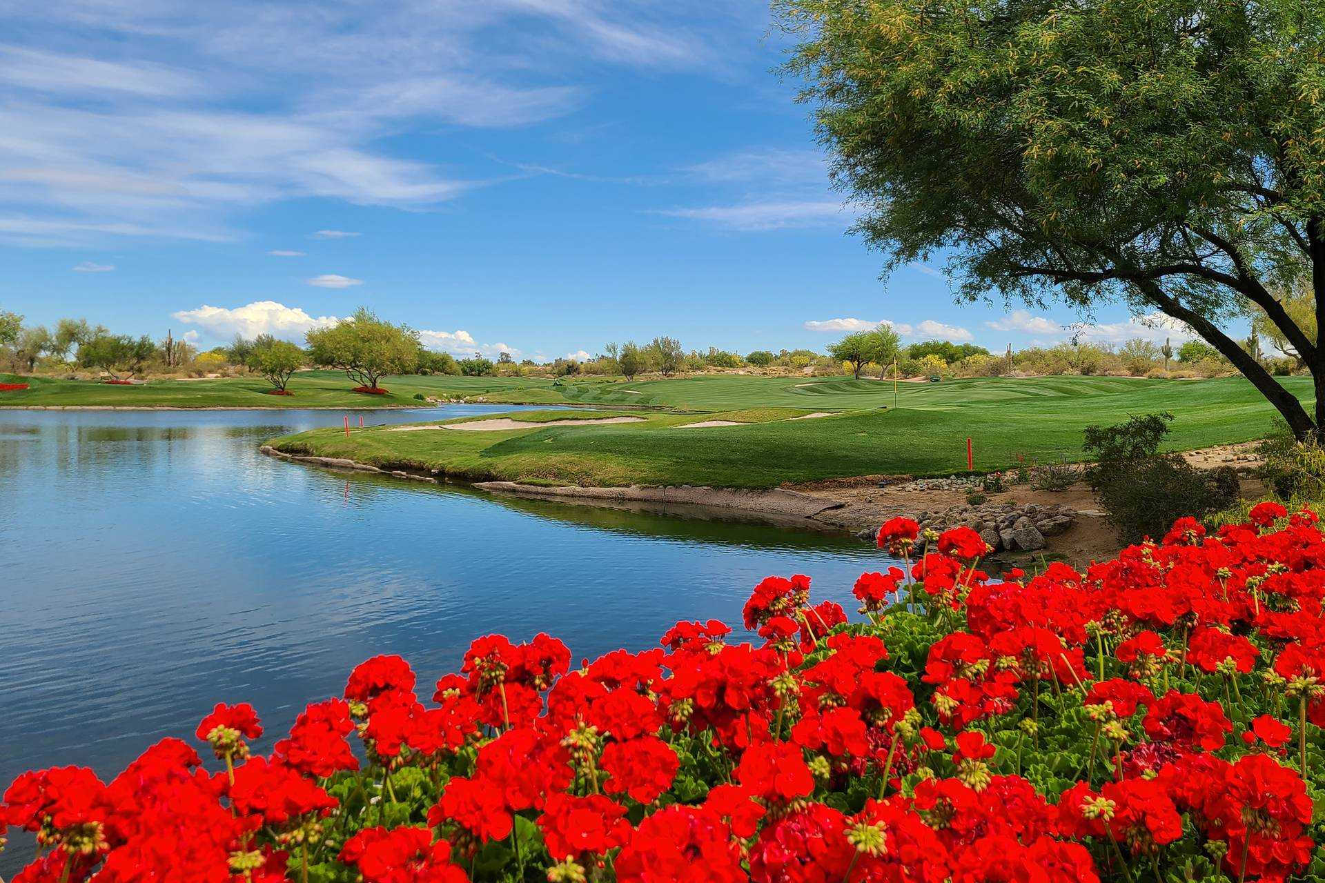 Grayhawk Golf Club 18th green with lake and flowers in Scottsdale