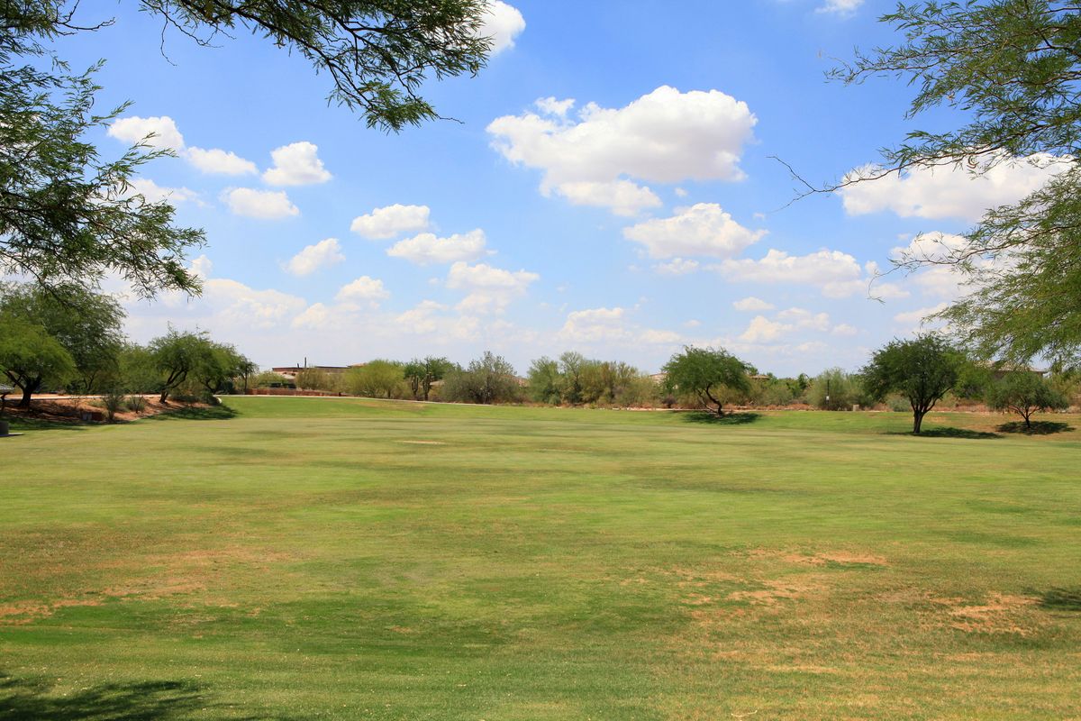 Open lawn at Sonoran Hills Park in Scottsdale