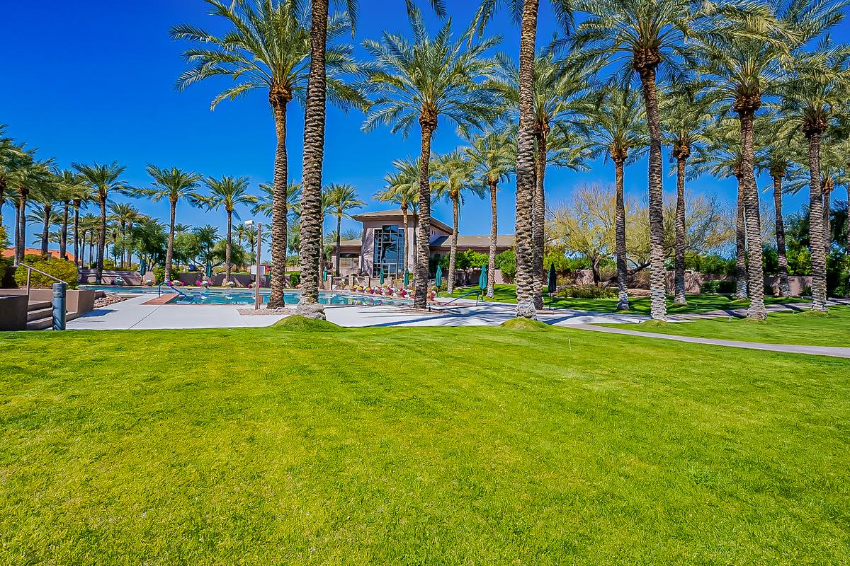 Landscaped lawn and palms at Stonegate in Scottsdale