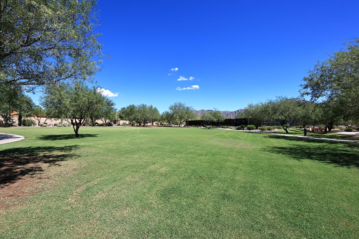 Open lawn at Windgate Ranch North Park, Scottsdale