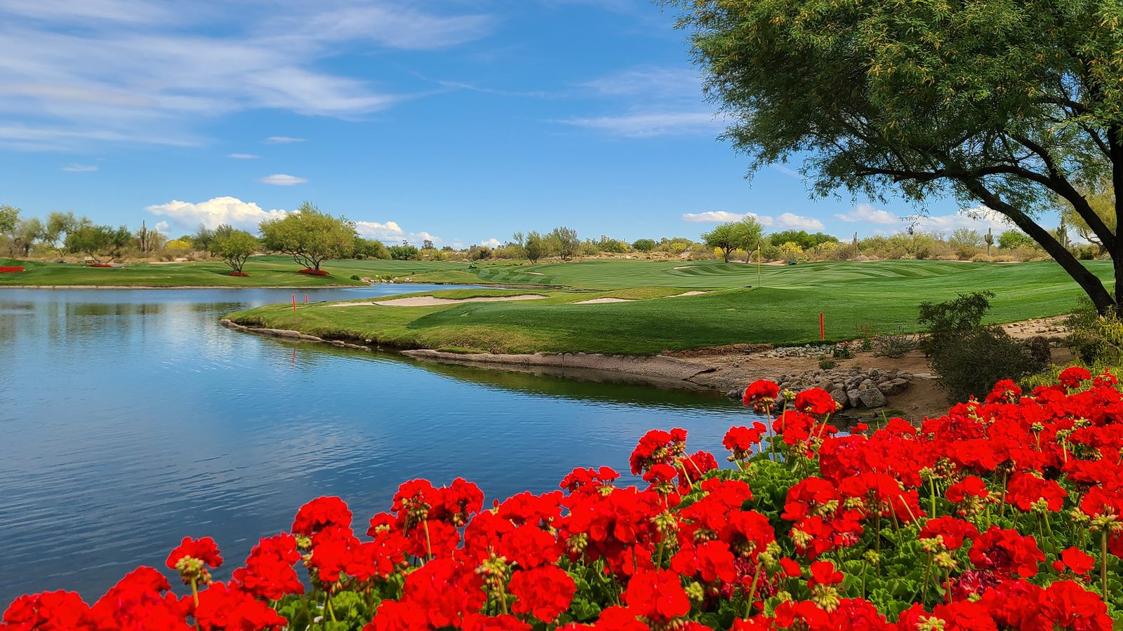 Grayhawk Golf Club 18th green and lake in Scottsdale, Grayhawk community tour video preview
